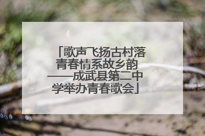 歌声飞扬古村落 青春情系故乡韵——成武县第二中学举办青春歌会
