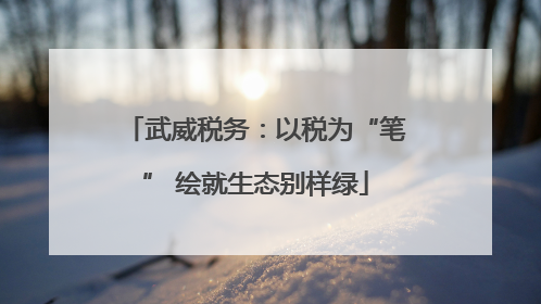 武威税务：以税为“笔” 绘就生态别样绿