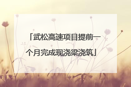 武松高速项目提前一个月完成现浇梁浇筑