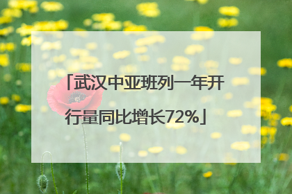 武汉中亚班列一年开行量同比增长72%