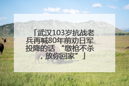 武汉103岁抗战老兵再喊80年前劝日军投降的话 “缴枪不杀，放你回家”