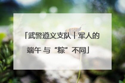 武警遵义支队︱军人的端午 与“粽”不同