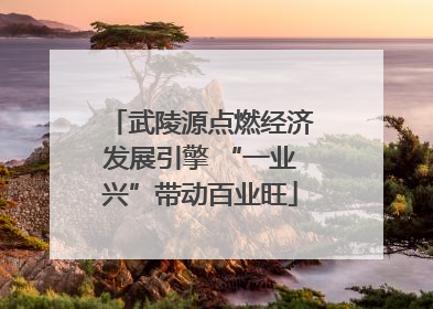 武陵源点燃经济发展引擎 “一业兴”带动百业旺