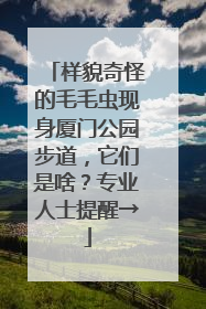 样貌奇怪的毛毛虫现身厦门公园步道，它们是啥？专业人士提醒→