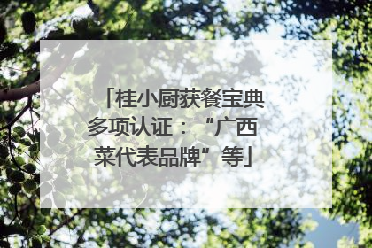 桂小厨获餐宝典多项认证：“广西菜代表品牌”等