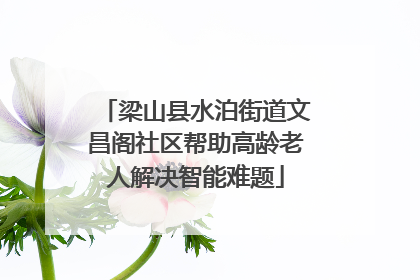 梁山县水泊街道文昌阁社区帮助高龄老人解决智能难题