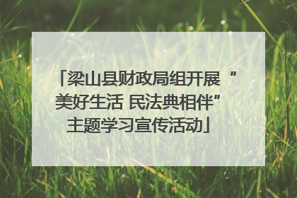 梁山县财政局组开展“美好生活 民法典相伴”主题学习宣传活动
