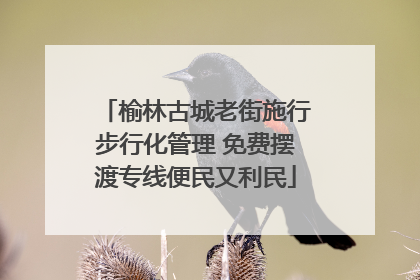 榆林古城老街施行步行化管理 免费摆渡专线便民又利民
