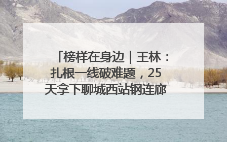 榜样在身边｜王林：扎根一线破难题，25天拿下聊城西站钢连廊“硬核”工程