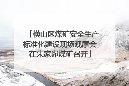 横山区煤矿安全生产标准化建设现场观摩会在朱家峁煤矿召开
