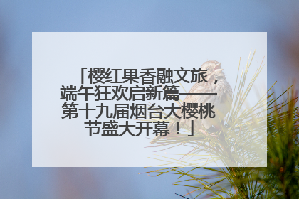 樱红果香融文旅，端午狂欢启新篇——第十九届烟台大樱桃节盛大开幕！