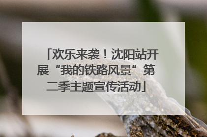 欢乐来袭！沈阳站开展“我的铁路风景”第二季主题宣传活动