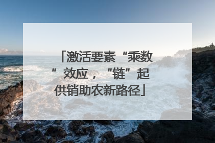 激活要素“乘数”效应，“链”起供销助农新路径