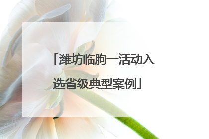 潍坊临朐一活动入选省级典型案例