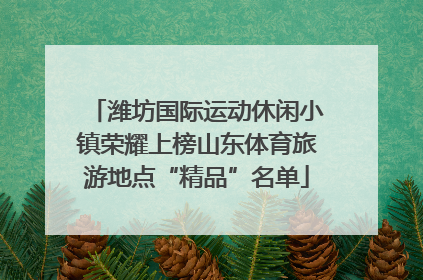 潍坊国际运动休闲小镇荣耀上榜山东体育旅游地点“精品”名单