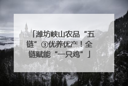 潍坊峡山农品“五链”③优养优产！全链赋能“一只鸡”