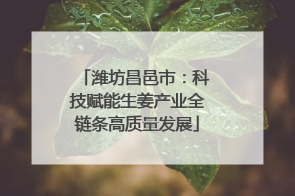 潍坊昌邑市：科技赋能生姜产业全链条高质量发展