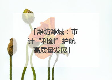 潍坊潍城：审计“利剑”护航高质量发展