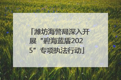 潍坊海警局深入开展“碧海蓝盾2025”专项执法行动
