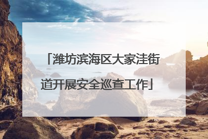 潍坊滨海区大家洼街道开展安全巡查工作