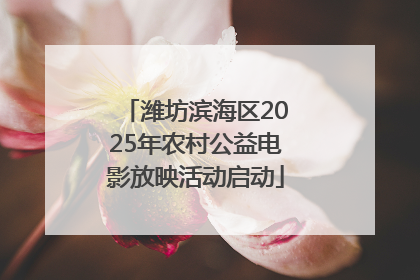 潍坊滨海区2025年农村公益电影放映活动启动
