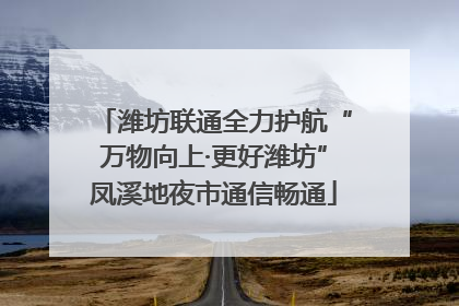 潍坊联通全力护航“万物向上·更好潍坊”凤溪地夜市通信畅通