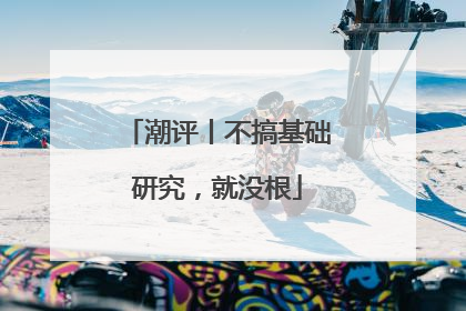潮评丨不搞基础研究，就没根