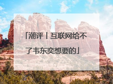 潮评丨互联网给不了韦东奕想要的