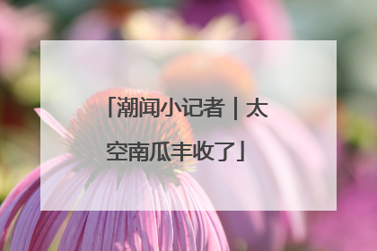 潮闻小记者｜太空南瓜丰收了