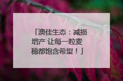 澳佳生态：减损增产 让每一粒麦穗都饱含希望！