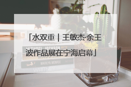 水双重｜王敏杰·余王波作品展在宁海启幕