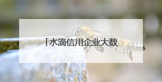 水滴信用企业大数据为水滴标讯招投标数据提供底层数据支持开展多类型服务