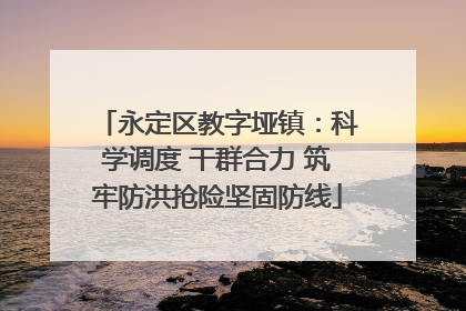 永定区教字垭镇：科学调度 干群合力 筑牢防洪抢险坚固防线