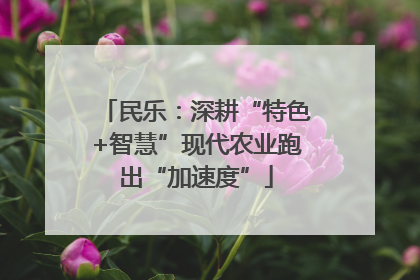 民乐：深耕“特色+智慧”现代农业跑出“加速度”