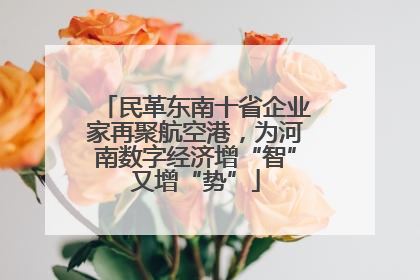 民革东南十省企业家再聚航空港，为河南数字经济增“智”又增“势”