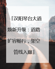 汉阳琴台大道焕新升级：道路扩容畅行，架空管线入廊