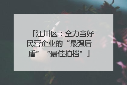 江川区：全力当好民营企业的“最强后盾”“最佳拍档”