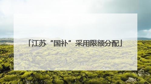江苏“国补”采用限额分配