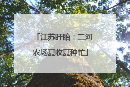 江苏盱眙：三河农场夏收夏种忙
