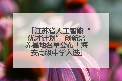 江苏省人工智能“优才计划” 创新培养基地名单公布！海安高级中学入选