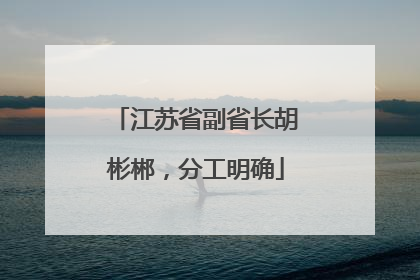 江苏省副省长胡彬郴，分工明确