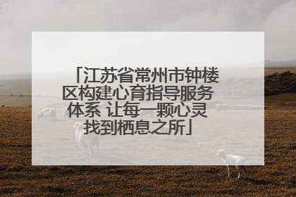 江苏省常州市钟楼区构建心育指导服务体系 让每一颗心灵找到栖息之所