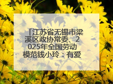 江苏省无锡市梁溪区政协常委、2025年全国劳动模范钱小玲：有爱的地方就是家