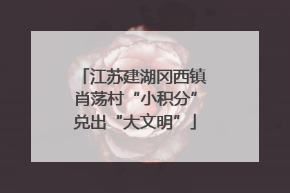 江苏建湖冈西镇肖荡村“小积分”兑出“大文明”