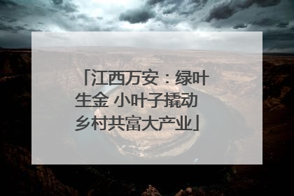 江西万安：绿叶生金 小叶子撬动乡村共富大产业