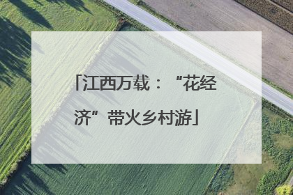 江西万载：“花经济”带火乡村游