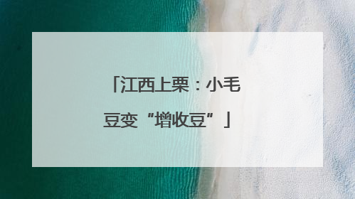 江西上栗：小毛豆变“增收豆”