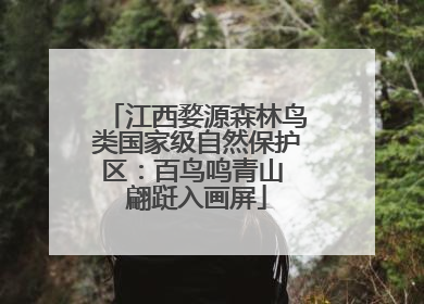 江西婺源森林鸟类国家级自然保护区：百鸟鸣青山 翩跹入画屏