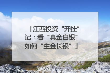 江西投资“开挂”记：看“真金白银”如何“生金长银”