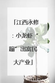 江西永修：小龙虾“蹦”出富民大产业